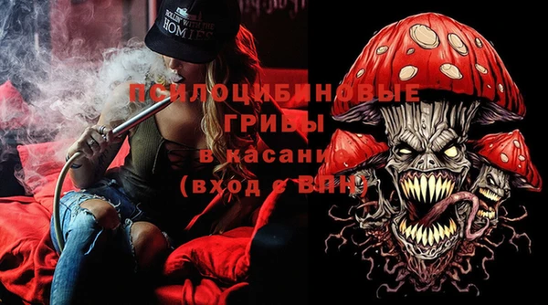 гидра Кукмор