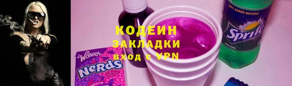 шишки Братск