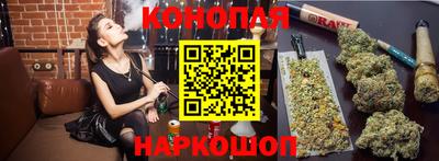 стафф Донецк