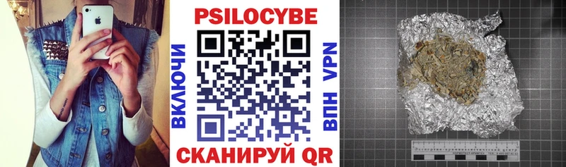 блэк спрут   Нефтекамск  Псилоцибиновые грибы GOLDEN TEACHER 